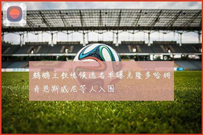 鹈鹕主教练候选名单曝光隆多哈姆肖恩斯威尼等人入围